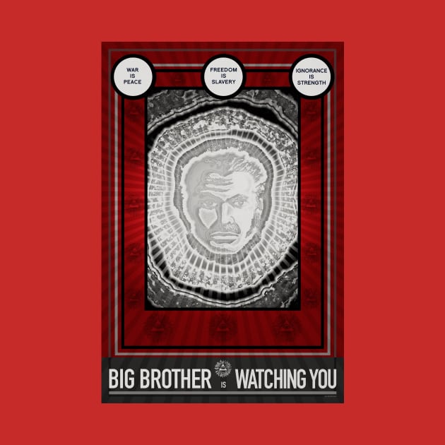 BIG BROTHER IS WATCHING YOU by HalHefner