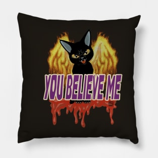 You believe me Pillow