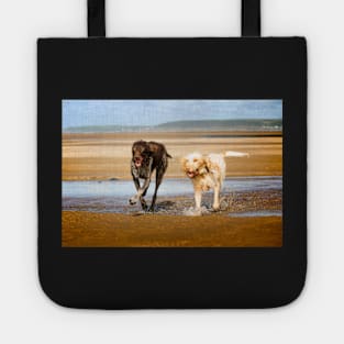 On the way to ice cream Spinone Tote