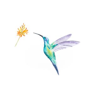 Watercolour Hummingbird Painting T-Shirt