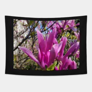 gift for birthday  happy birthday beautiful magnolia flower Tapestry