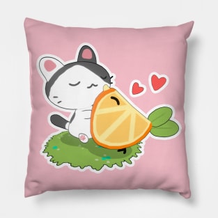 Orange and Kitty Pillow