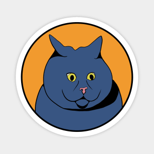 Funny Animal Graphic Design - Scared Cat Magnet