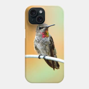 Anna's Hummingbird Phone Case