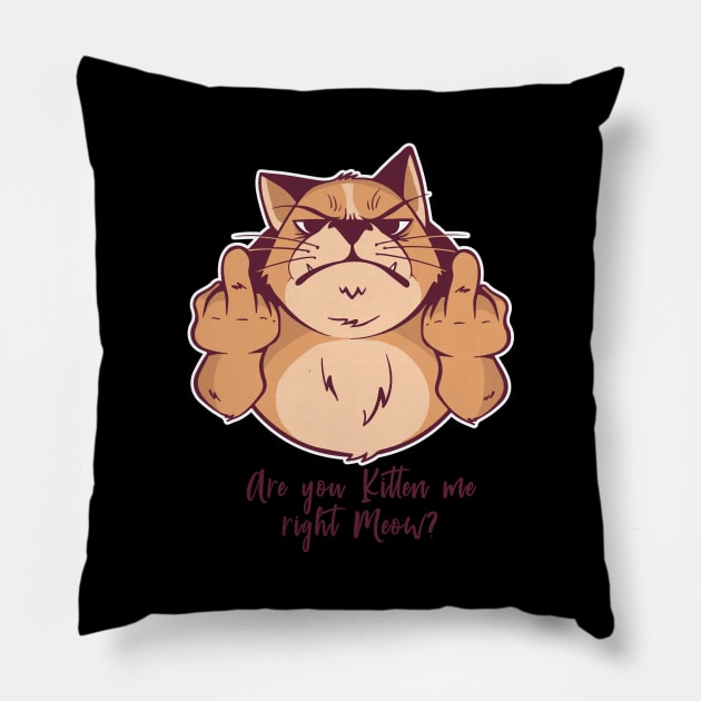 Are You kitten me right Meow, Middle Finger Cat Pillow by EquilibriumArt