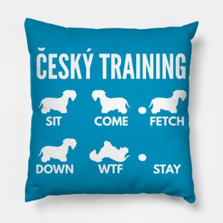 Cesky Terrier Dog Training Cesky Dog Tricks Pillow