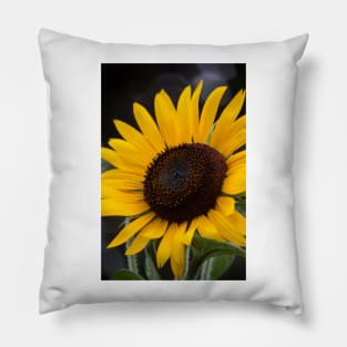 Sunflower Series XVI Pillow