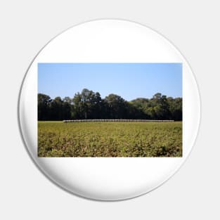 Hay Bales In Field Pin