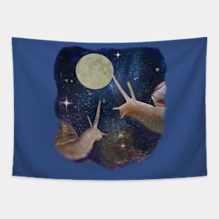 Galaxy Snail Tapestry