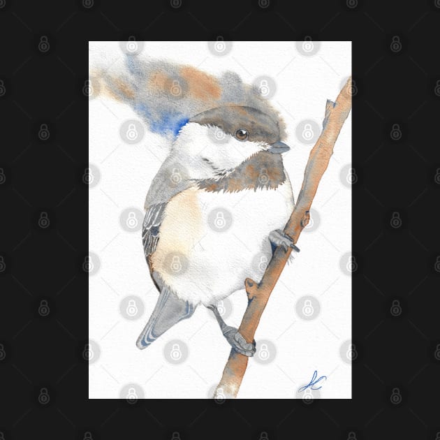 Black-capped Chickadee Poecile atricapillus watercolor portrait white by Oranjade0122