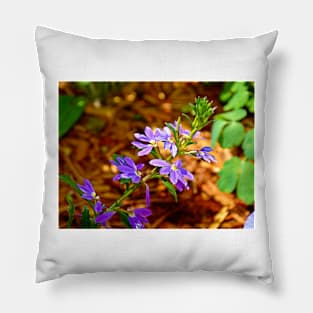 WP Floral Study 4 2014 Pillow