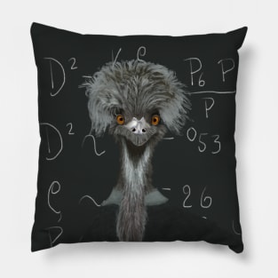 Funny Emu | Einstein | Humorous Gift Pillow