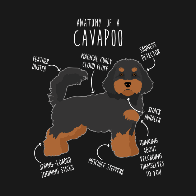 Black and Tan Cavapoo Dog Anatomy by Psitta