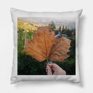 Fall leaf photography Pillow
