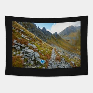 Hiking trail in the mountains Tapestry