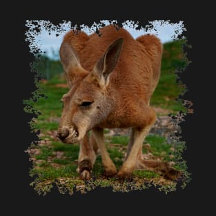 Kangaroo T-Shirt