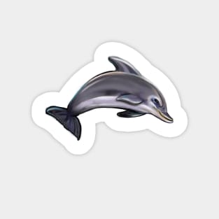 Cute dolphin. Playful Dolphins Magnet