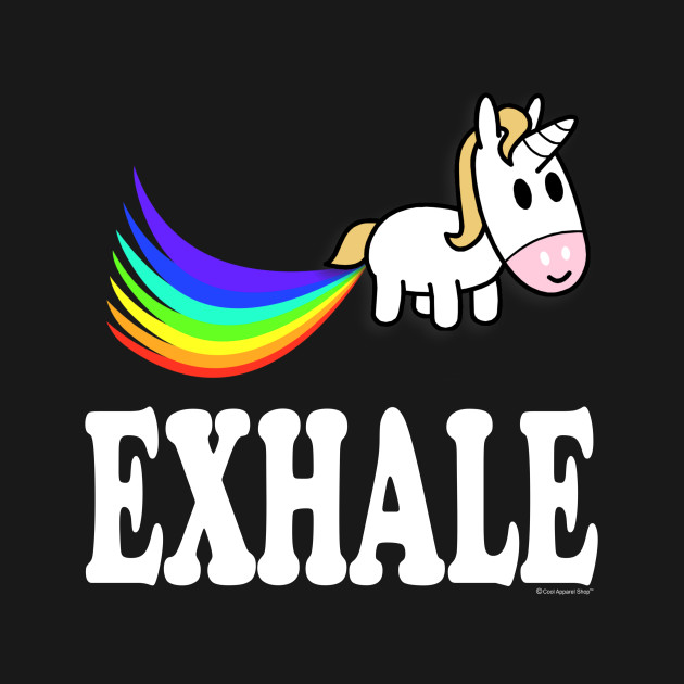 Unicorn Fart Perfect Surprise Present Ideas Unicorn T Shirt Teepublic