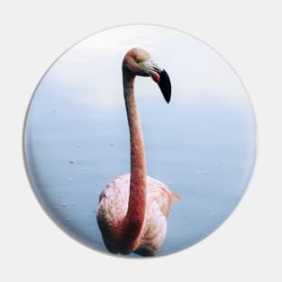 Flamingo Pin