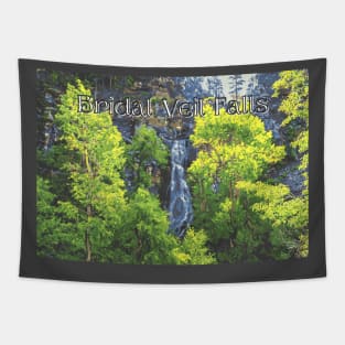 Bridal Veil Falls in Spearfish Canyon Tapestry