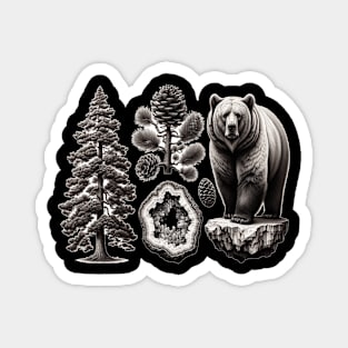 Nature's Trio: Pine, Crystal, and Bear Magnet