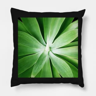 Plant print, Cactus print, Succulent, Scandinavian print, Trendy print, Styled, Pillow, Modern art, Wall art, Print, Minimalistic, Modern Pillow