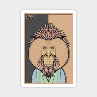 Bornean Orangutan Magnet