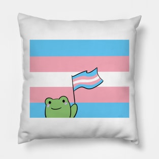 Rana Bandera trans Pillow