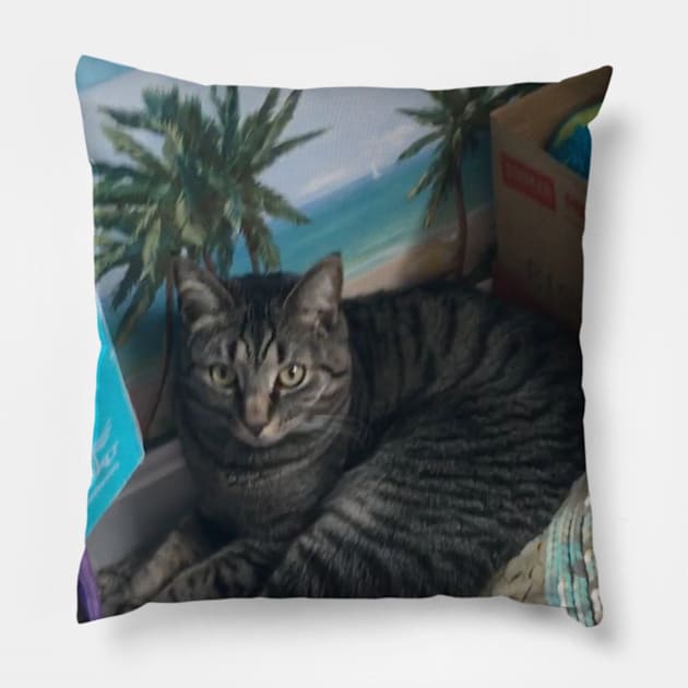 Tropical Hideaway Pillow by Amanda1775