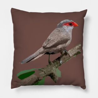 Common Waxbill or St Helena Waxbill Pillow