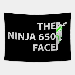 The Biker Face Ninja 650 Tapestry