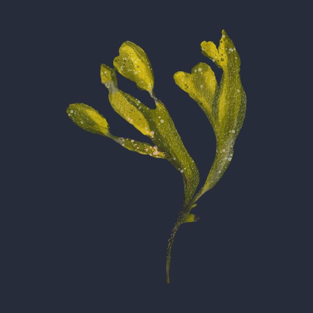 Green Seaweed Plant by Pacesyte