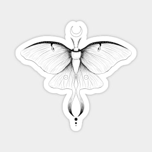 Lunar moth Magnet