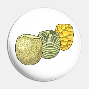 Lithics Knaping Illustration Pin