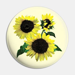 Three Sunflowers Pin