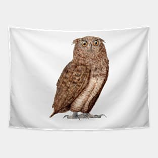 owl Tapestry