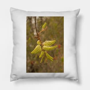 Grevillea 1 Pillow