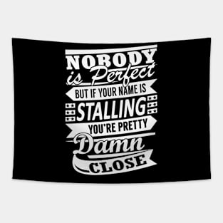 Nobody is Perfect STALLING Pretty Damn Close Tapestry