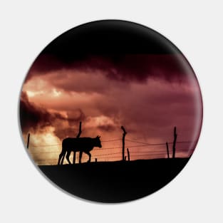 silhouette of a bull in a sunset Pin