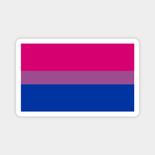 Bi flag Magnet