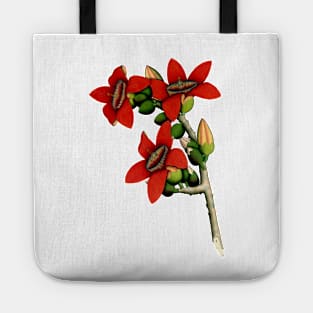 Red Cotton Tree Flowers 1800 Calcutta India Tote