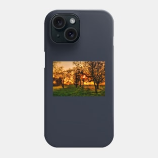 Misty Morning Golden Sunrise Glow Phone Case