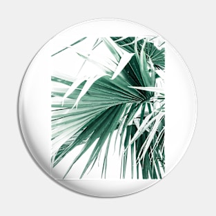 Palm Leaves II Pin