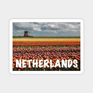 Tulips field Magnet