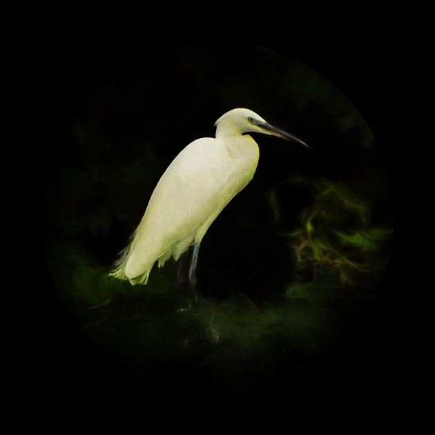 Egret by Guardi