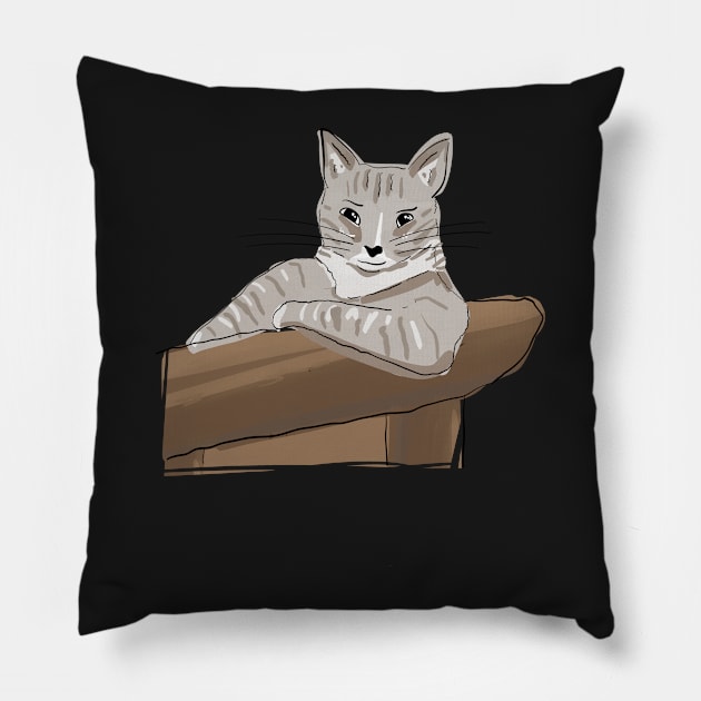 Most Interesting Cat In The World, Cat Says Hey Pillow by SubtleSplit