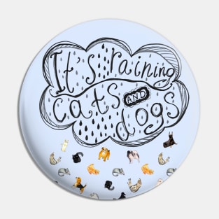 It's raining cats and dogs. Falling raindrops with cats and dogs. Pin