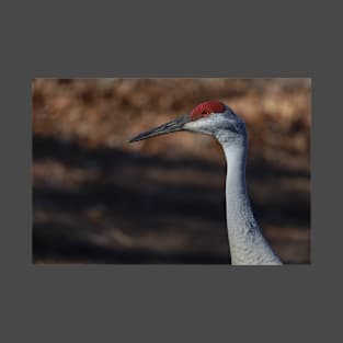 Michigan Sandhill Crane T-Shirt