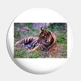 A Tiger in London Pin