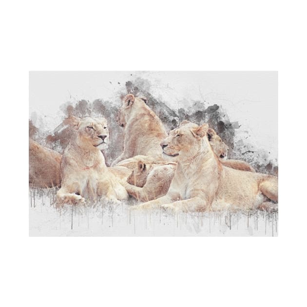 Lioness Lion Animal Wild Africa Jungle Safari Wildlife by Cubebox